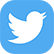 Twitter icon